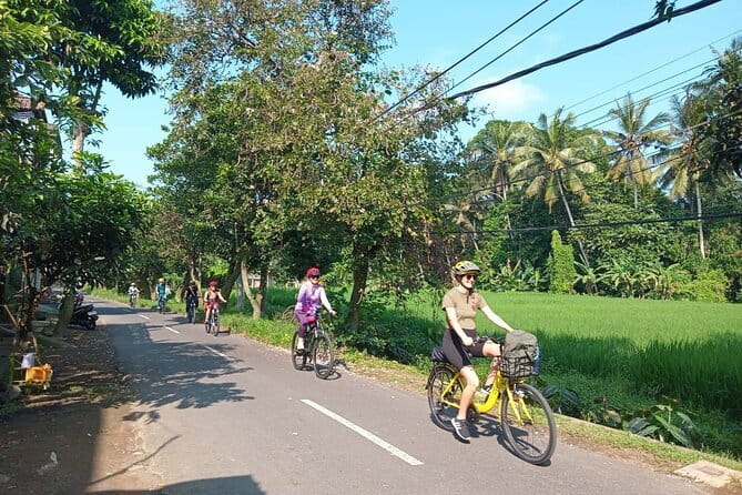 Ubud : Kintamani Downhill Cycling Tour with Lunch - Pura Desa Malet Gusti and the cultural stops