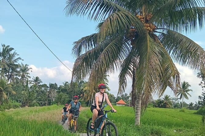 Ubud : Kintamani Downhill Cycling Tour with Lunch - Riding through Bali’s village countryside