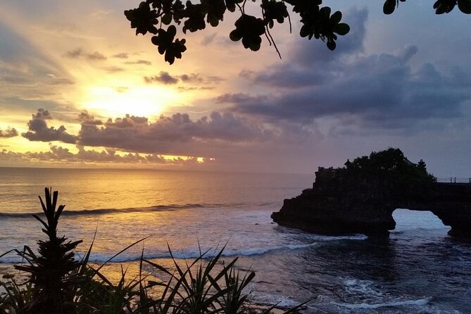 Ubud Kintamani Tour - What the private vehicle changes