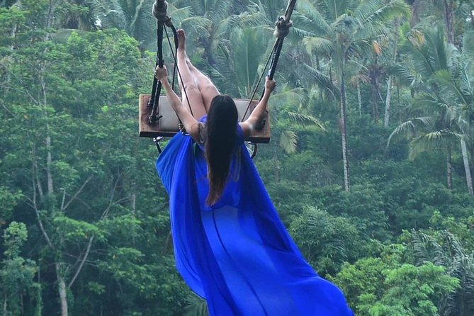 Ubud Monkey Forest, Holy Water Temple & Waterfalls Tours - Tegalalang Rice Terrace and the irrigation system