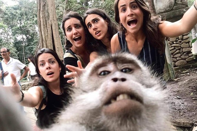 Ubud Monkey Forest, Holy Water Temple & Waterfalls Tours - Indonesian lunch at Waroeng D’Yoni