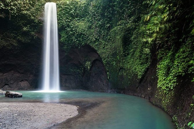 Ubud Monkey Forest, Holy Water Temple & Waterfalls Tours - What the $33.25 price really covers