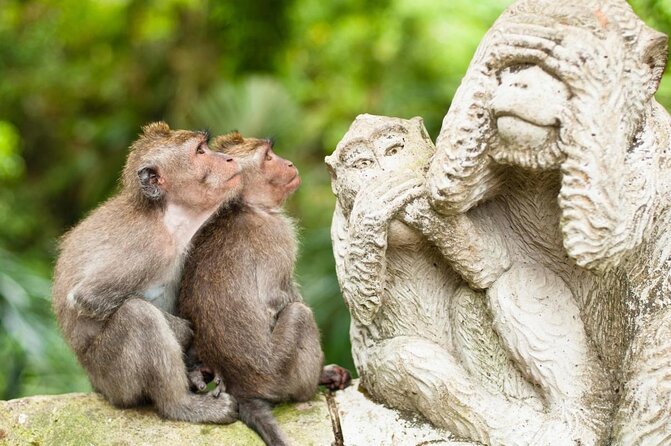 Ubud: Monkey Forest, Jungle Swing, Rice Terrace, and Water Temple - Key points at a glance