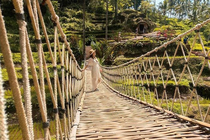 Ubud: Monkey Forest, Jungle Swing, Rice Terrace, and Water Temple - Tegenungan Waterfall: a tropical setting with a choice of effort