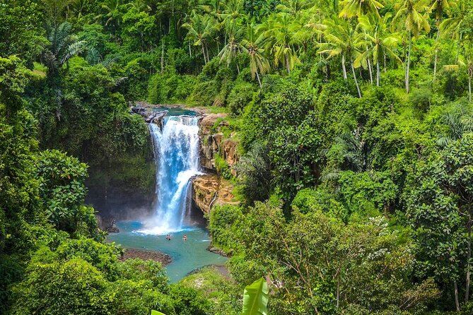 Ubud: Monkey Forest, Jungle Swing, Rice Terrace, and Water Temple - Celuk Village and the Ubud market