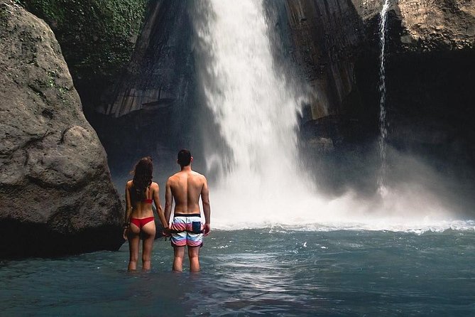 Ubud: Monkey Forest, Jungle Swing, Rice Terrace, and Water Temple - The vehicle, driver, and pace