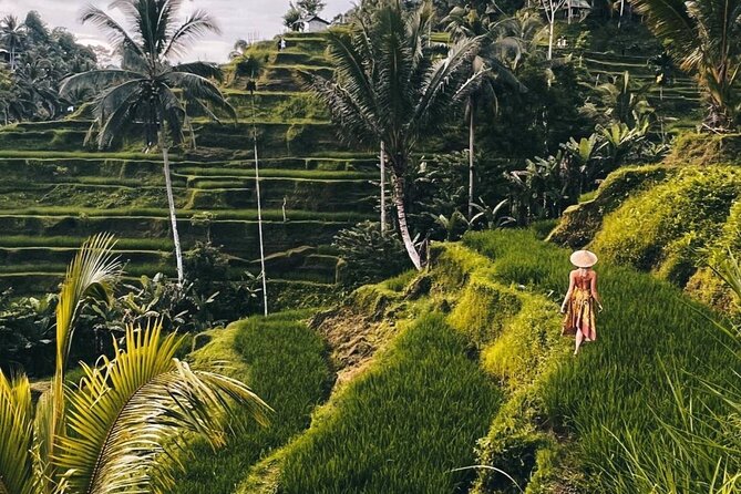 Ubud Monkey Forest, Rice Terrace & Tirta Empul Temple Tour - Key points to know before booking