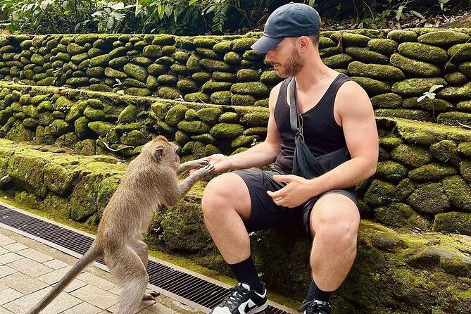 Ubud Monkey Forest, Rice Terrace & Tirta Empul Temple Tour - What the $24.30 tour really gives you
