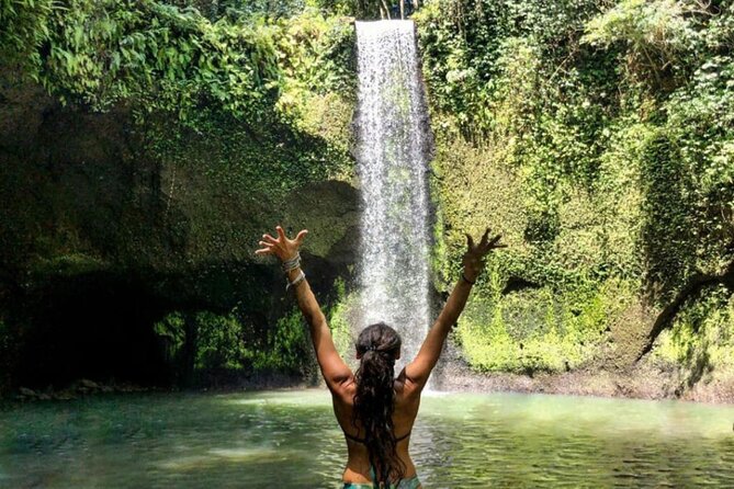 Ubud Monkey Forest, Rice Terrace & Tirta Empul Temple Tour - Browsing Ubud Traditional Art Market