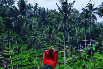 Monkey Forest, Rice Terrace, Waterfall, Swing