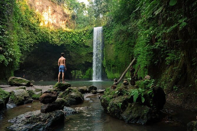 Ubud: Monkey Forest, Rice Terraces and Jungle Swing Tour - Allowing time for Balinese arts and coffee
