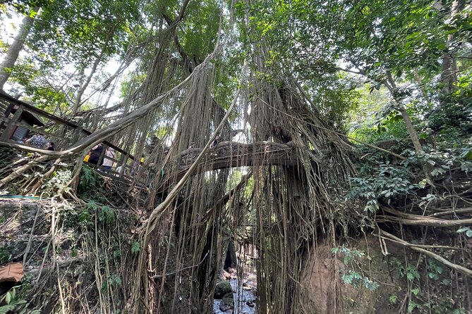 Ubud Monkey Forest Sanctuary Entrance Ticket All Inclusive - Temples, statues, and sacred pools