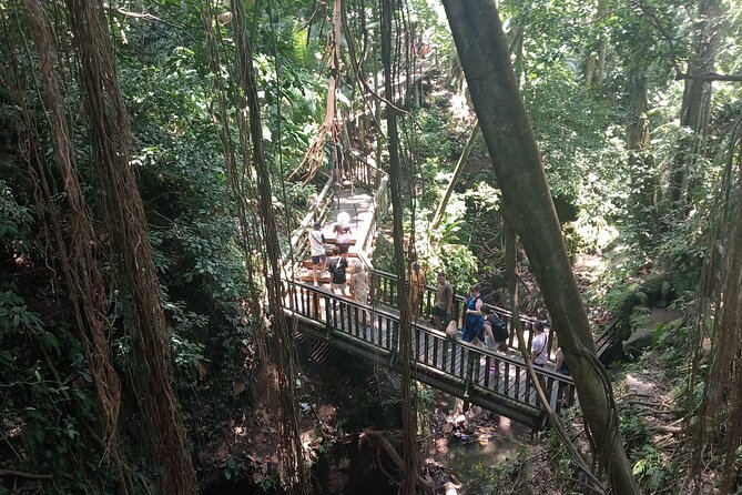 Ubud Monkey Forest Sanctuary Entrance Ticket All Inclusive - Why the guide can be worth the money