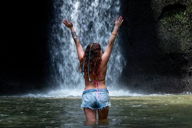 Ubud Monkey Forest, Scenic Rice Terrace with Swing and Waterfall - Key points to know before booking