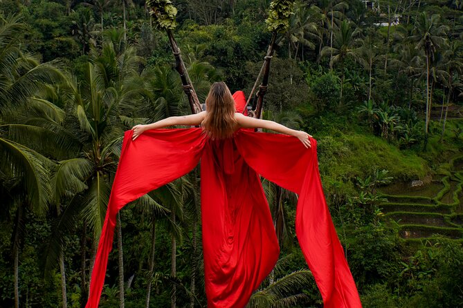 Ubud Monkey Forest, Scenic Rice Terrace with Swing and Waterfall - What this Ubud day tour is really offering