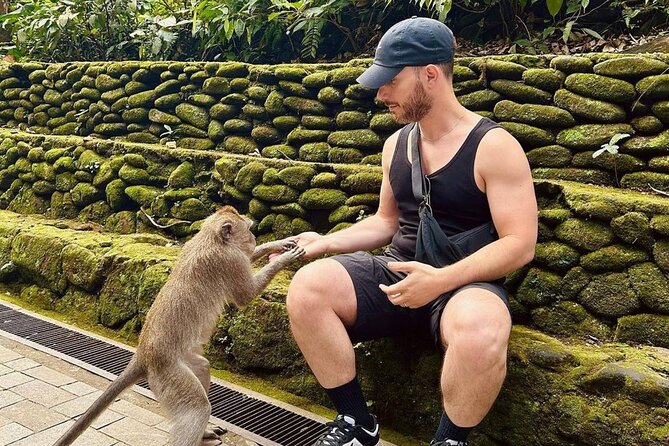 Ubud Monkey Forest, Scenic Rice Terrace with Swing and Waterfall - The guide may shape the whole day