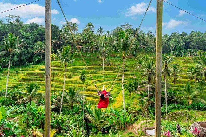 Ubud Private Chasing Waterfall and Water Temple Tour - Luwak Coffee Tasting: A Brief Local Flavor