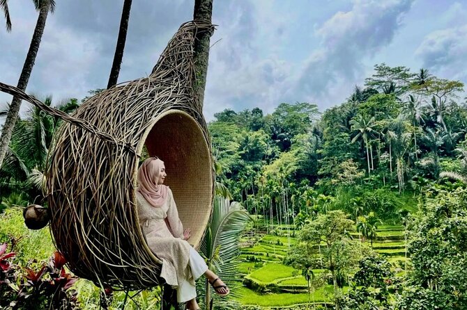 Ubud Private Chasing Waterfall and Water Temple Tour - Why The Private Van Matters