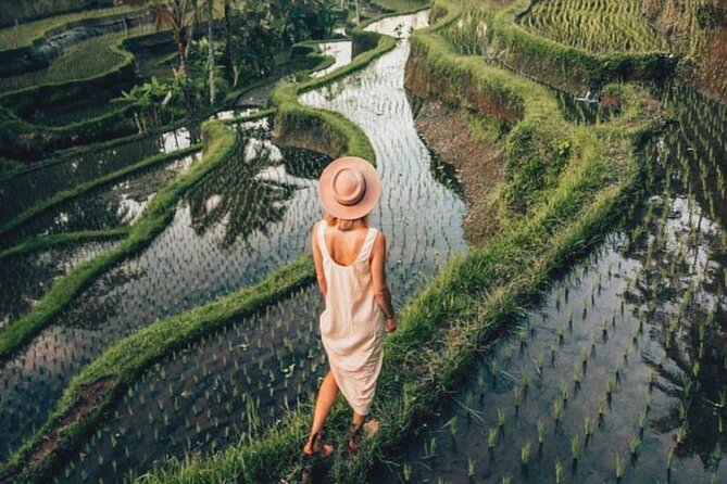 Ubud: Private Customized Highlights Tour - Art, craft, and the human side of Bali