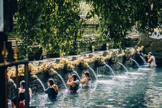 Ubud: Private Customized Highlights Tour - Price, inclusions, and the real value