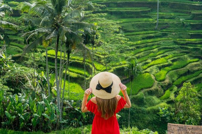 Ubud: Private Customized Highlights Tour - Temples that explain Bali beyond the photographs