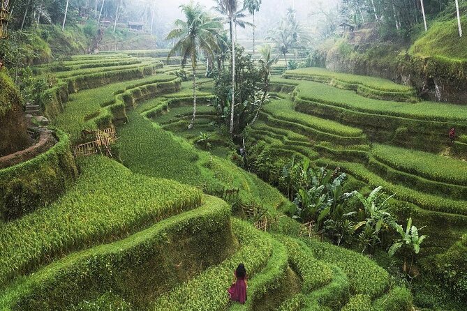 Ubud Private Full-Day Tour - Tirta Empul Temple and Bali’s holy spring water
