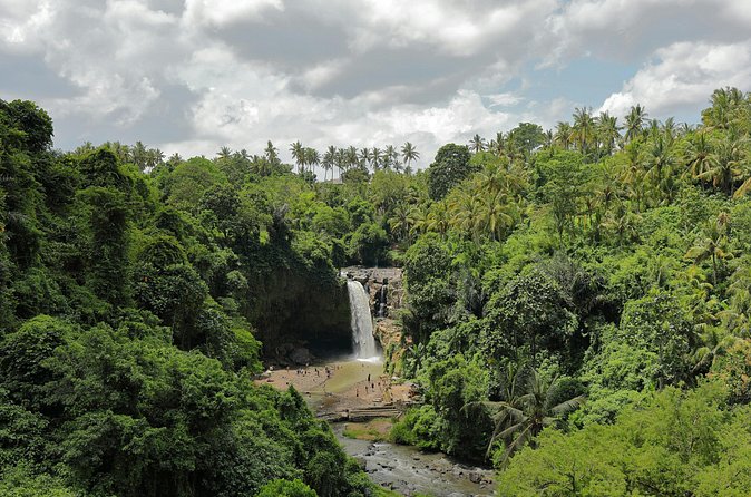 Ubud Private Nature and Temple Tour - Tasting the story of Bali’s coffee gardens
