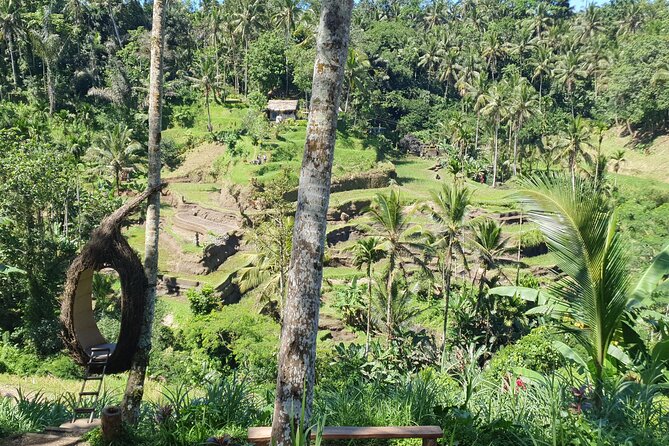 Ubud Private Tour - Lunch at d’Alas Warung