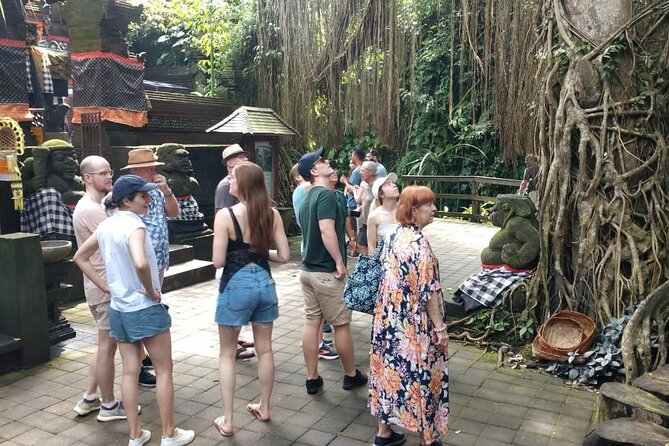 Ubud Private Tour - Tegenungan Waterfall for the day’s final nature stop
