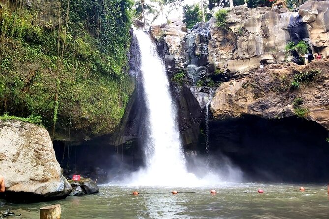 Ubud Private Tour : Best Of Ubud - Guided Tour - Ulu Petanu Waterfall closes the day outdoors