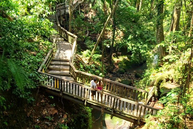 Ubud Private Tour : Best Of Ubud - Guided Tour - Monkey Forest combines nature, religion, and village life