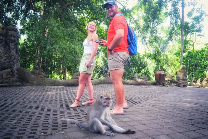Ubud Private Tour : Choice Your Own Trip - Monkey Forest: Nature, Temples, and a Busy Hour