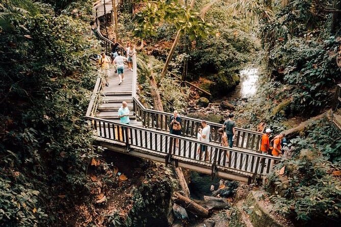 Ubud Private Tour: Monkey Forest, Rice Terrace, Temple, Waterfall - Why this private Ubud tour works well