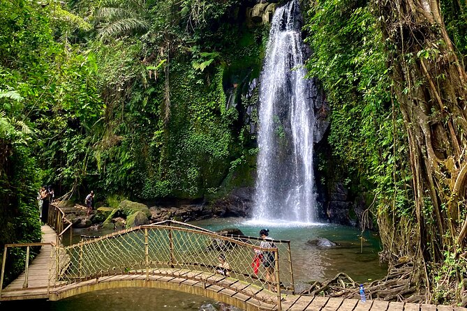 Ubud Private Tour: Monkey Forest, Rice Terrace, Temple, Waterfall - Tegalalang’s rice terraces and valley views