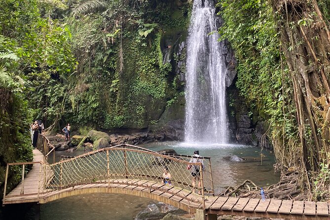Ubud Private Tour: Monkey Forest, Rice Terrace, Temple, Waterfall - Lunch at Tebasari Resto, Bar & Lounge