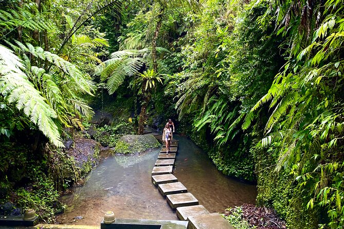 Ubud Private Tour: Monkey Forest, Rice Terrace, Temple, Waterfall - What the praise for the guides tells you