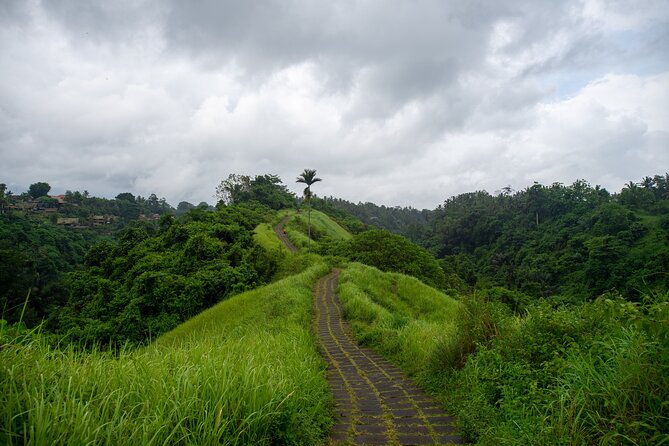 Ubud Private Tour: Monkey Forest - Tirta Empul Temple - Tegalalang Rice Terrace: famous views with limited time