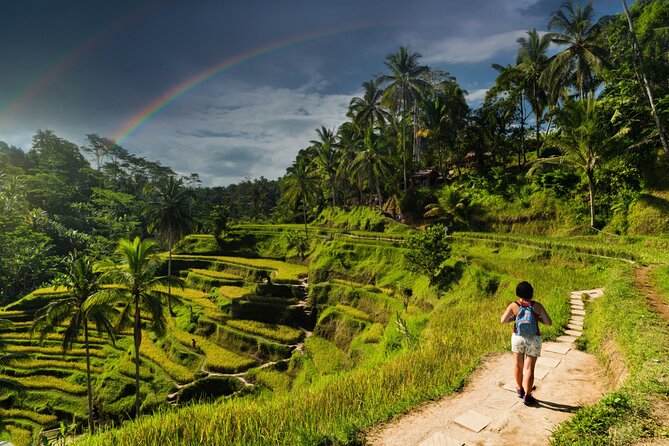 Ubud Private Tour: Monkey Forest - Tirta Empul Temple - Elephant Cave, or Goa Gajah, in 30 minutes