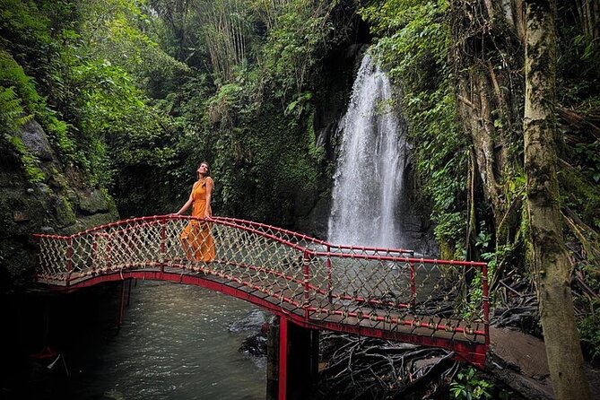 UBUD Private Tour – Rice Terrace, Jungle Swing & Hidden Waterfall - Tamansari Waterfall and natural pool
