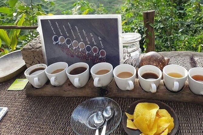 UBUD Private Tour – Rice Terrace, Jungle Swing & Hidden Waterfall - Tegalalang rice terraces and the jungle swing