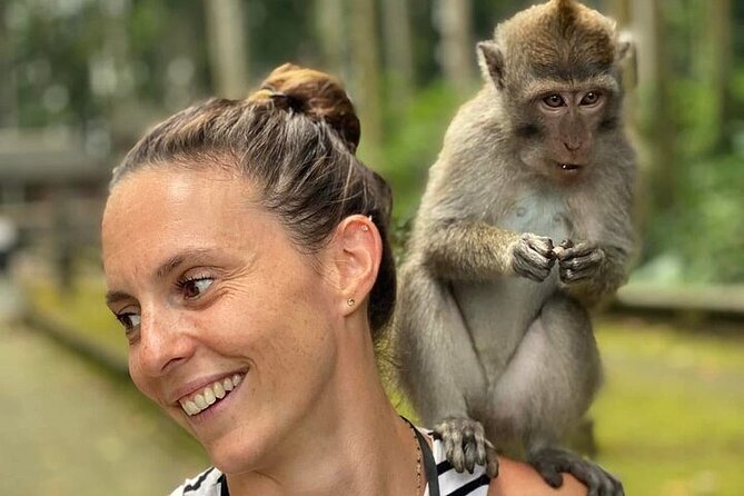 UBUD Private Tour – Rice Terrace, Jungle Swing & Hidden Waterfall - Tirta Empul or the Sacred Monkey Forest