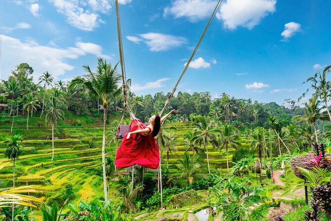 Ubud Private Tour: Waterfalls, Temple and Rice Terraces Swing - Five useful things to know before booking