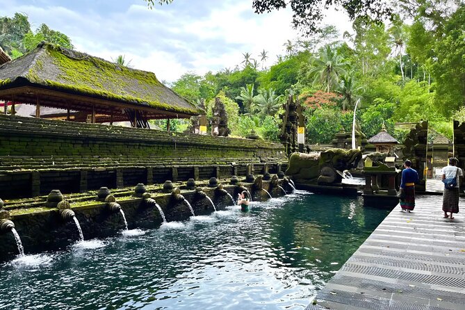 Ubud Private Tour: Waterfalls, Temple and Rice Terraces Swing - Why a private car makes this Ubud day easier