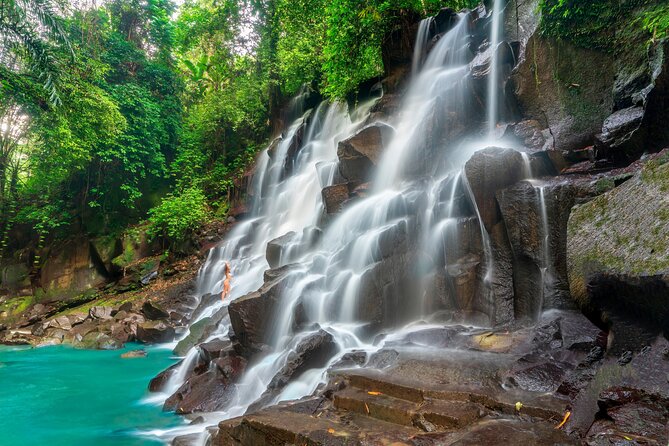Ubud Private Tour: Waterfalls, Temple and Rice Terraces Swing - Lunch at D Alas Warung: a view-based break