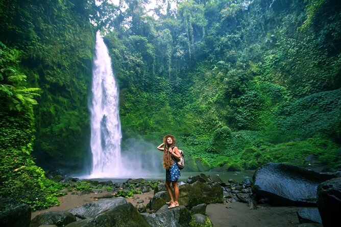 Ubud Private Tour: Waterfalls, Temple and Rice Terraces Swing - What the $24.82 price really gives you