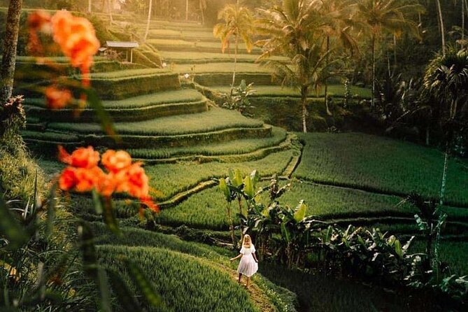 Ubud Private Tour - Waterfalls, Water Temple & Rice Terraces - Tukad Cepung: Light Inside A Cave-Like Canyon