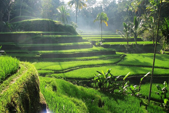 Ubud Private Tour - Waterfalls, Water Temple & Rice Terraces - Tirta Empul: Understanding The Purification Ritual