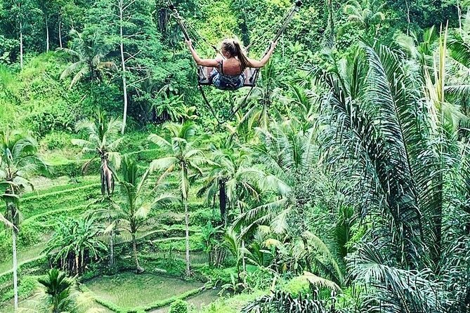 Ubud Private Tour - Pakudui Village and rice terraces