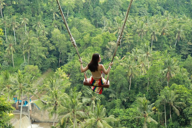 Ubud Private Tours with Jungle Swing Experience - all inclusive - Key points to know before booking