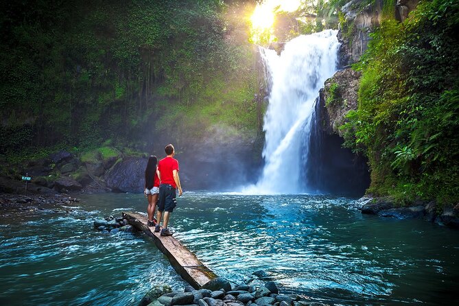 Ubud Private Tours with Jungle Swing Experience - all inclusive - The pace suits samplers, photographers, and couples